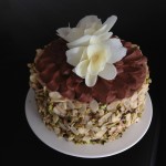 chocolate cake recipe ann reardon