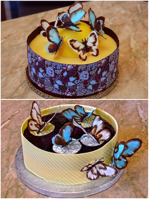 Howtocookthat Cakes Dessert Chocolate Chocolate Butterfly