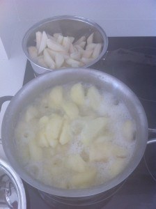 cooking apple and pear