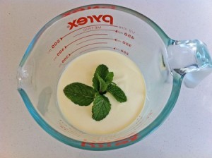 cream with a sprig of mint ganache ingredients for recipe