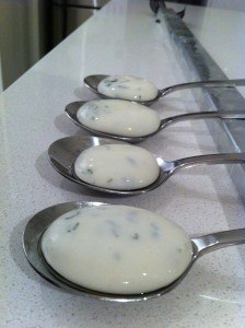 yoghurt mint sphericals recipe molecular gastronomy