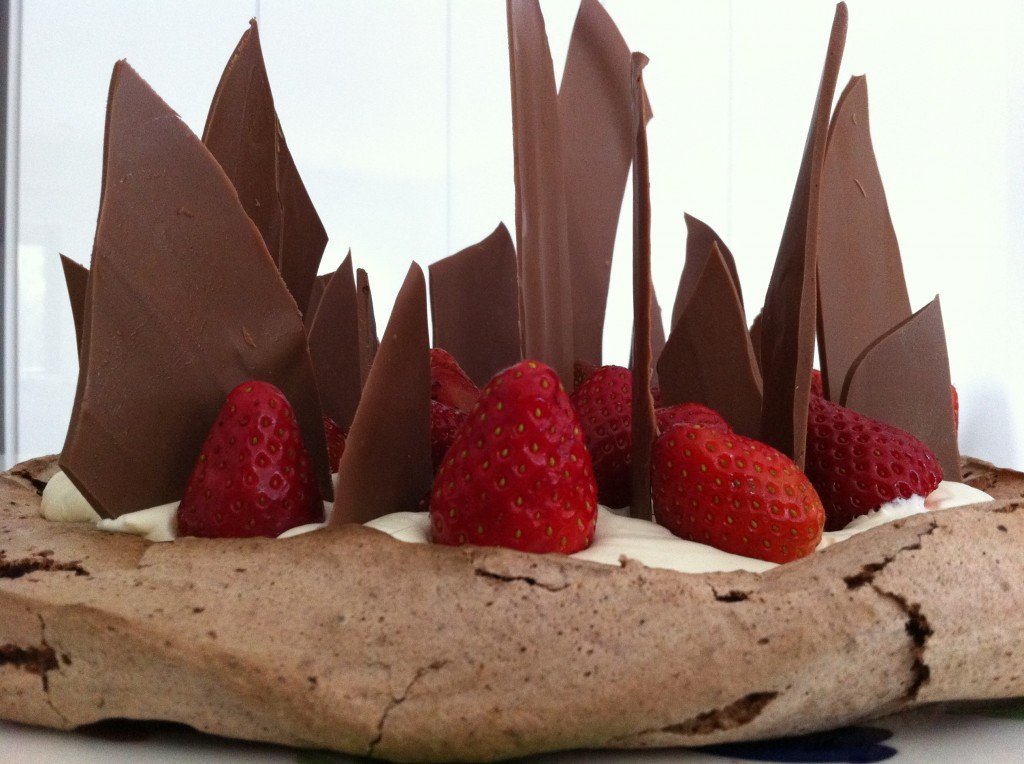 https://www.howtocookthat.net/public_html/wp-content/uploads/2012/01/chocolate-pavalova-dessert-recipe-1a-1024x764.jpg