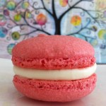 easy macaron recipe reardon