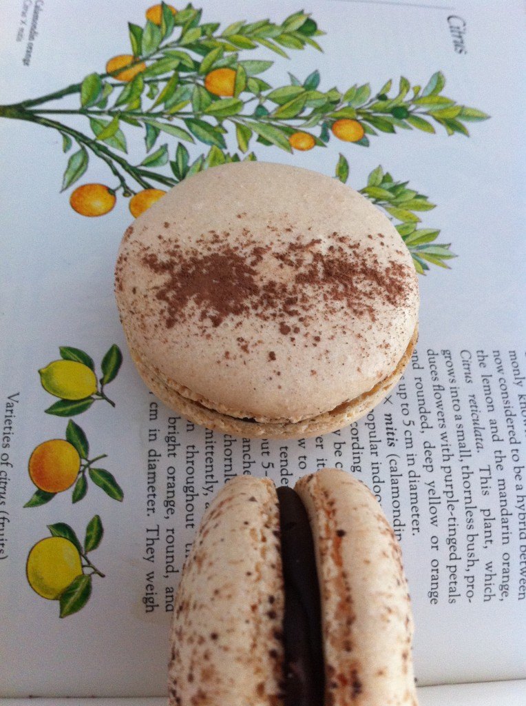 choc orange macaroons