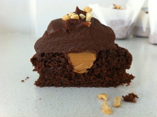 chocolate peanut butter cupcake recipe