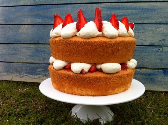 victoria sponge cake recipe how to cook that