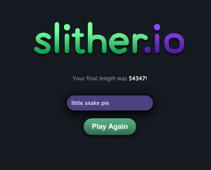 slitherio my record