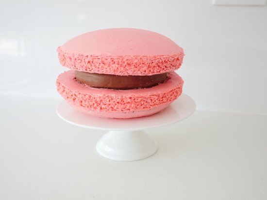 macaron cake ann reardon