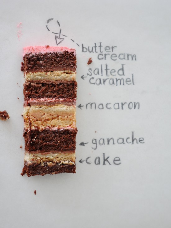 macaron cake ann reardon