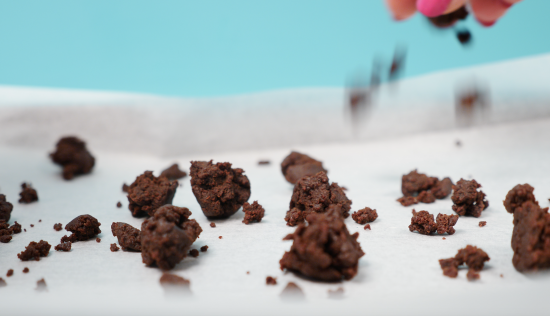 chocolate crumb recipe ann reardon