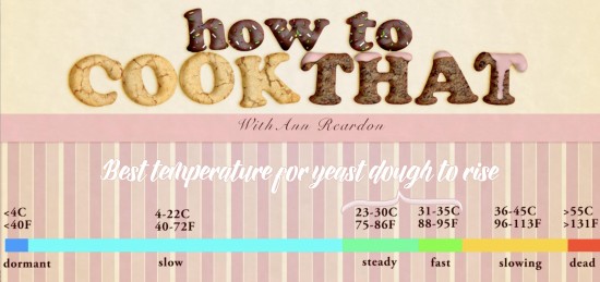 temperature for yeast dough to rise