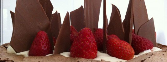 chocolate pavalova easy gourmet dessert recipe how to cook that best cooking blog