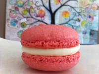 easy macaron recipe reardon