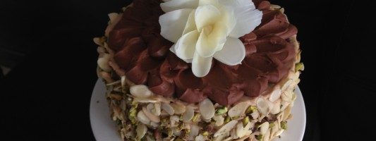 chocolate cake recipe ann reardon