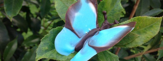 dainty chocolate butterflies