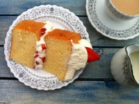 tall moist fluffy sponge cake recipe reardon