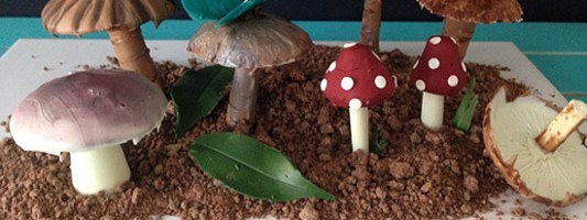 Chocolate Garden Recipe