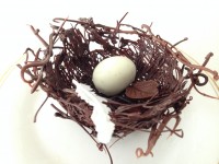 chocolate birds nest