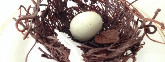 chocolate birds nest