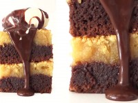 gooey chocolate brownie recipe