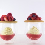Elegant Fruit Dessert Recipe with video by Ann Reardon