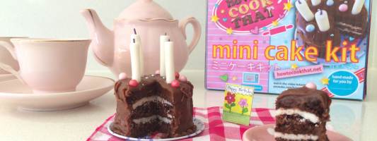 mini cake ann reardon poppin cookin