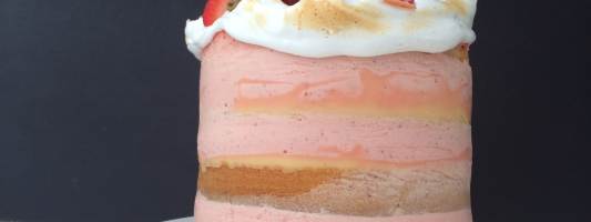 strawberry mousse cake recipe ann reardon