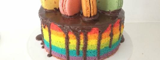 rainbow steam cake recipe ann reardon