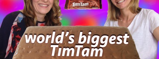 homemade tim tam recipe