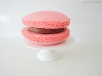 Giant Macaron Cake