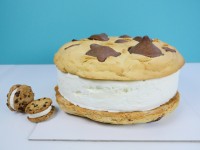 giant ice cream sandwich