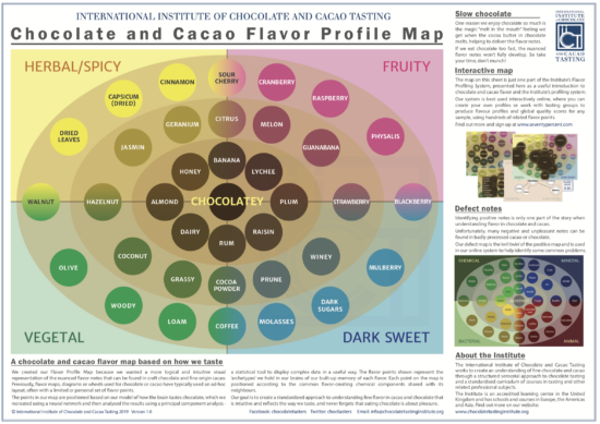 chocolate tasting wheel