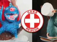 Cake Rescue